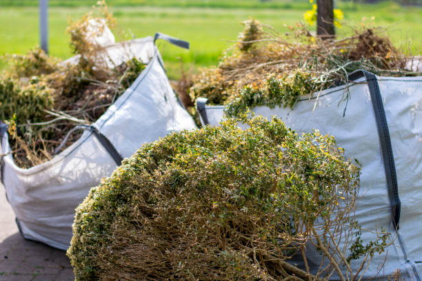 Full-Service Junk Removal in Bakersfield, CA